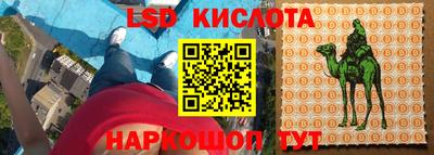 a pvp Бийск