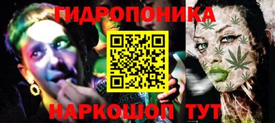 a pvp Бийск